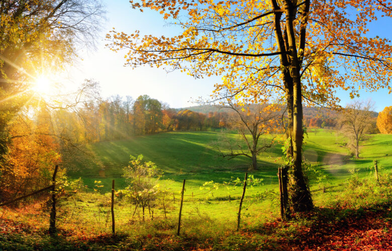 Zauberhafte Landschaft im Herbst: sonniges Panorama