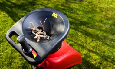 Holzhäcksler im Einsatz: Äste und Zweige werden in einem Häcksler verarbeitet, um sie als Mulch oder Kompost zu nutzen.