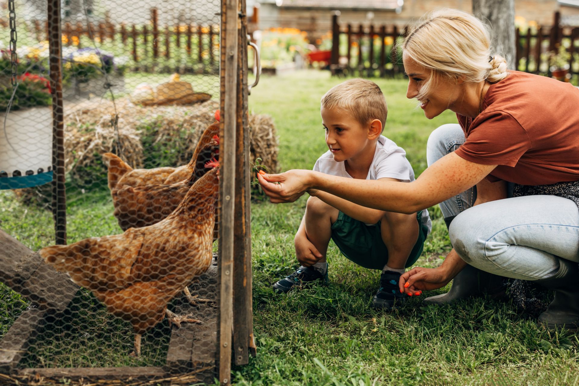 Mutter und Kind füttern Hühner im Garten mit artgerechtem Hühnerfutter – familienfreundliche Tierhaltung